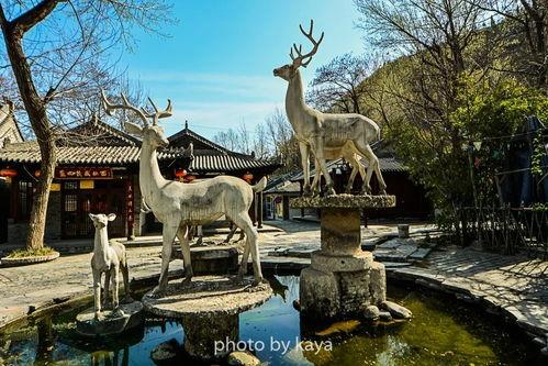 白鹿原景区最新爆料,探秘历史遗迹,体验文化盛宴 第2张 白鹿原景区最新爆料,探秘历史遗迹,体验文化盛宴 第2张