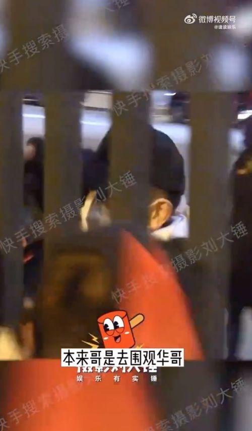 刘德华狗仔爆料视频大全,揭秘娱乐圈幕后真相  第2张